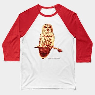 Barred Owl (no Background) Baseball T-Shirt